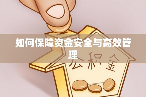 镇坪如何保障资金安全与高效管理