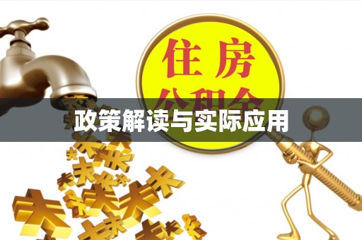 镇坪政策解读与实际应用