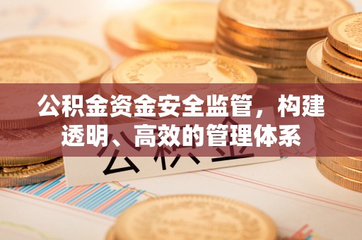 镇坪公积金资金安全监管，构建透明、高效的管理体系