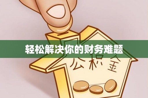 镇坪轻松解决你的财务难题