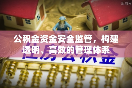 镇坪公积金资金安全监管，构建透明、高效的管理体系