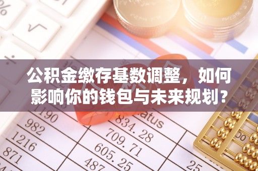 镇坪公积金缴存基数调整，如何影响你的钱包与未来规划？