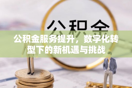 镇坪公积金服务提升，数字化转型下的新机遇与挑战