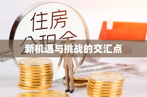 镇坪新机遇与挑战的交汇点