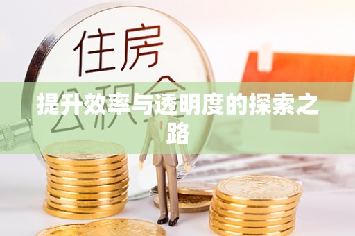 镇坪提升效率与透明度的探索之路
