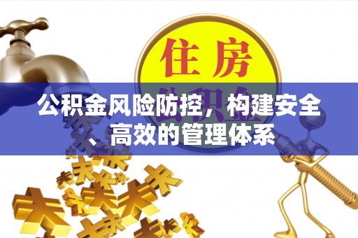 镇坪公积金风险防控，构建安全、高效的管理体系