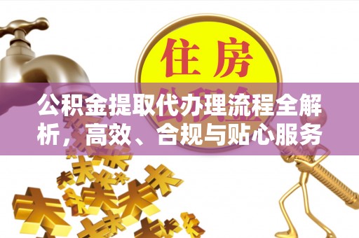 镇坪公积金提取代办理流程全解析，高效、合规与贴心服务