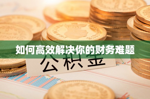 镇坪如何高效解决你的财务难题
