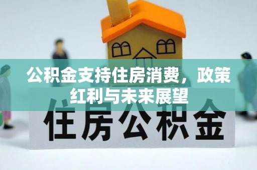 镇坪公积金支持住房消费，政策红利与未来展望