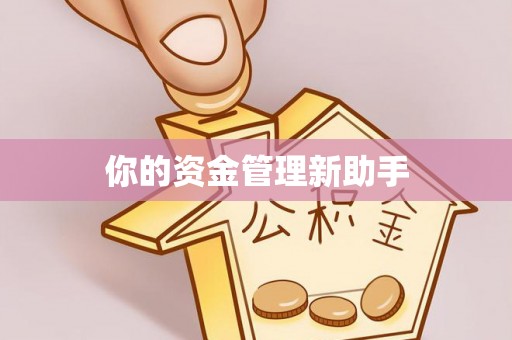 镇坪你的资金管理新助手