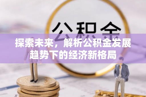 镇坪探索未来，解析公积金发展趋势下的经济新格局
