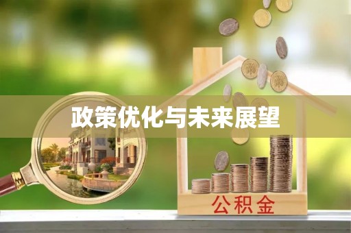 镇坪政策优化与未来展望