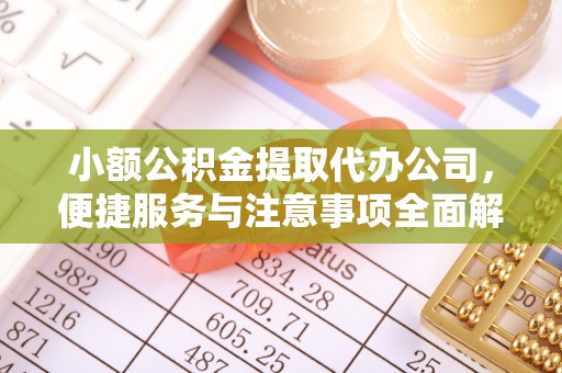 镇坪小额公积金提取代办公司，便捷服务与注意事项全面解析