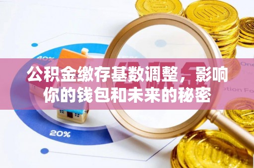 镇坪公积金缴存基数调整，影响你的钱包和未来的秘密