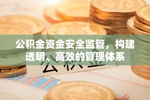 镇坪公积金资金安全监管，构建透明、高效的管理体系