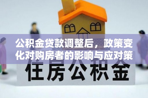 镇坪公积金贷款调整后，政策变化对购房者的影响与应对策略