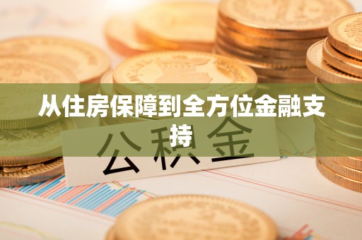 镇坪从住房保障到全方位金融支持